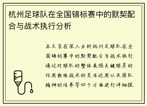 杭州足球队在全国锦标赛中的默契配合与战术执行分析